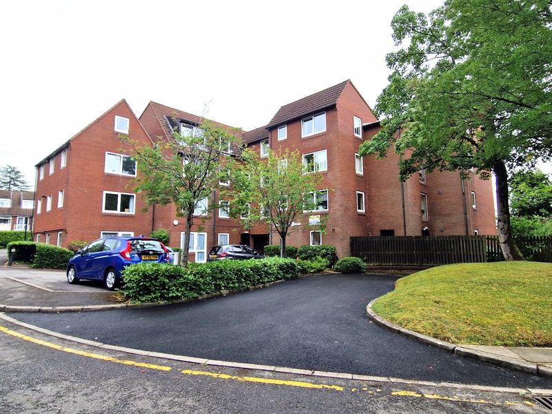 Main Image